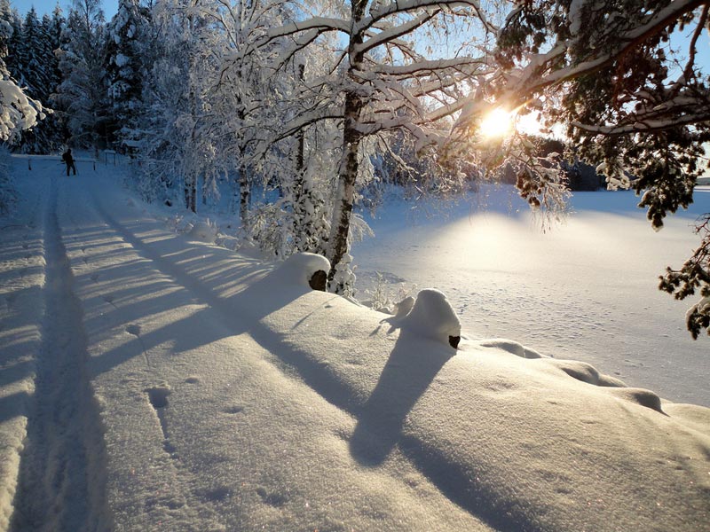 Winter sunshine | Photo: Caroline Bennett