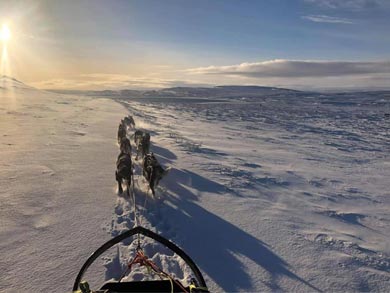 Husky Sledding and Northern Lights on the Finnmark Plateau | Photo: GH