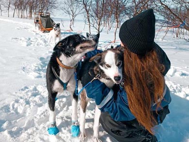 You'll be working closely with the huskies | Photo: GH