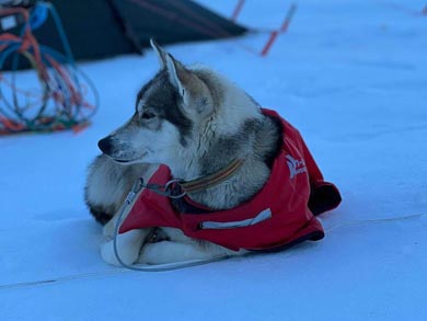 Live Like a Musher in Finnmark | Photo: GH