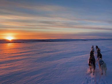 Live Like a Musher in Finnmark | Photo: GH