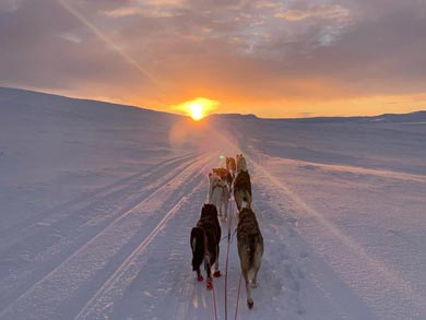 Live Like a Musher in Finnmark | Photo: GH