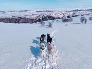 Live Like a Musher in Finnmark | Photo: GH