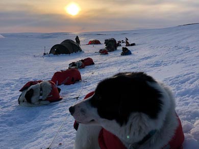 Live Like a Musher in Finnmark | Photo: GH