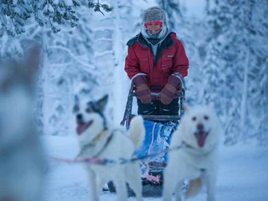 Hut to Hut Aurora Husky Safari in Lapland | Photo: HHS