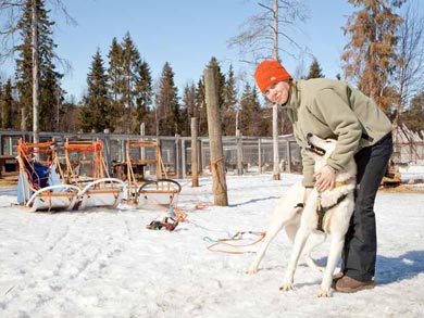 Hut to Hut Aurora Husky Safari in Lapland | Photo: HHS