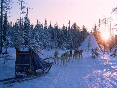 Hut to Hut Aurora Husky Safari in Lapland | Photo: HHS