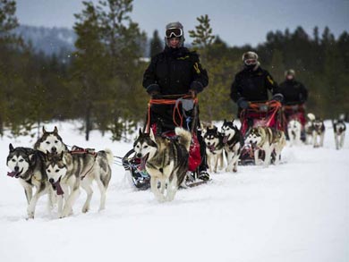 Hut to Hut Aurora Husky Safari in Lapland | Photo: HHS