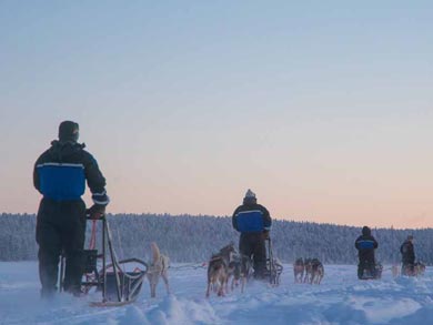 Hut to Hut Aurora Husky Safari in Lapland | Photo: HHS