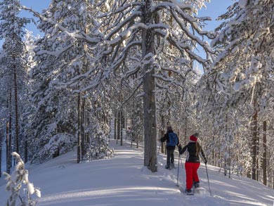 Husky, Ski and Snowshoe Week in Southern Lapland | Photo: HT