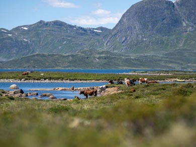 North Route: Summer farms are an important part of the cultural heritage of the area | Photo: JT