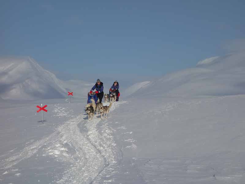 Husky Mountain Expedition in Lapland