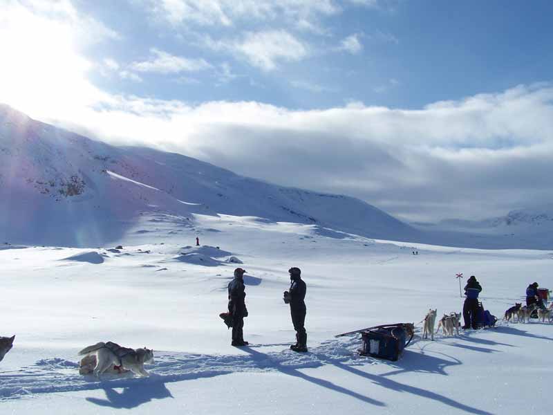 Husky Mountain Expedition in Lapland