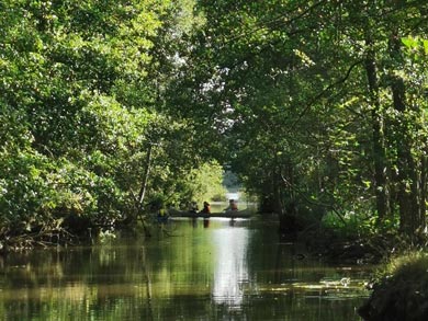 The tour features a contrasting landscape narrow waterways and beautiful open lakes | Photo: KS