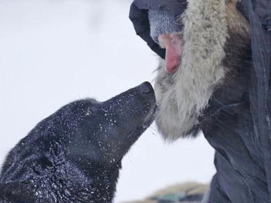 Wilderness Lodge and Husky Sledding in Swedish Lapland | Photo: KST