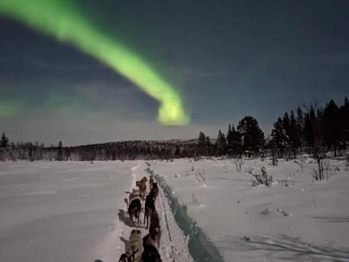 Northern Lights during the tour | Photo: KST