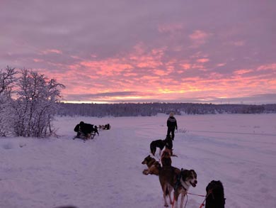 Wilderness Lodge and Husky Sledding in Swedish Lapland | Photo: KST