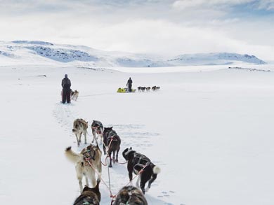 Husky Expedition to the King's Trail in Lapland | Photo: KST