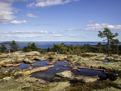 The High Coast area offers dramatic views and unique landscapes due to its geological history | Photo: LF