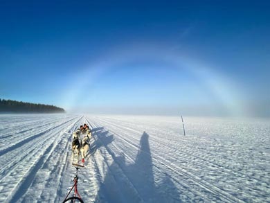 Northern Lights Husky Week | Photo: LND