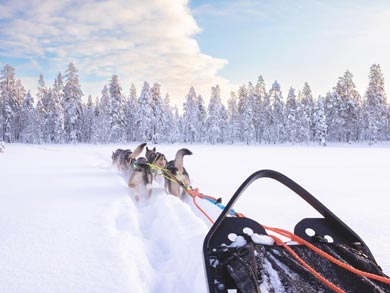 Northern Lights Husky Week | Photo: LND