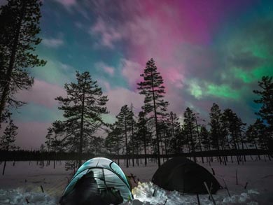 Northern Lights Husky Week | Photo: LND