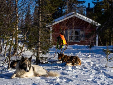 Wildernesss cabin during the tour | Photo: LND