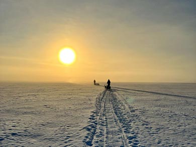 Northern Lights Husky Week | Photo: LND