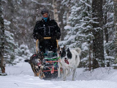 First Steps Husky Holiday | Photo: LND