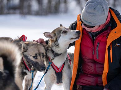 Huskies are affectionate and love a cuddle! | Photo: LND