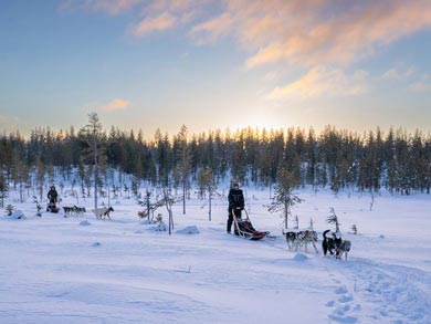 First Steps Husky Holiday | Photo: LND