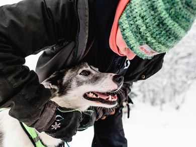 You'll be working closely with your husky team | Photo: LND