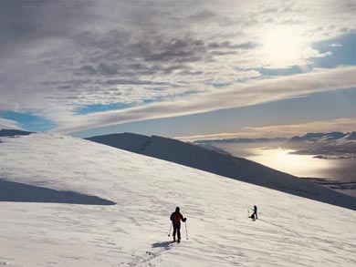 Alpine Ski Touring in Lyngen | Photo: LOC
