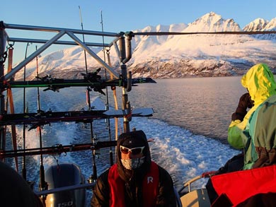 Alpine Ski Touring in Lyngen | Photo: LOC