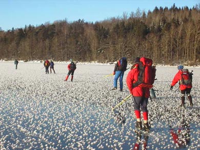 Ice skating in the sunshine | Photo: J.Savelid