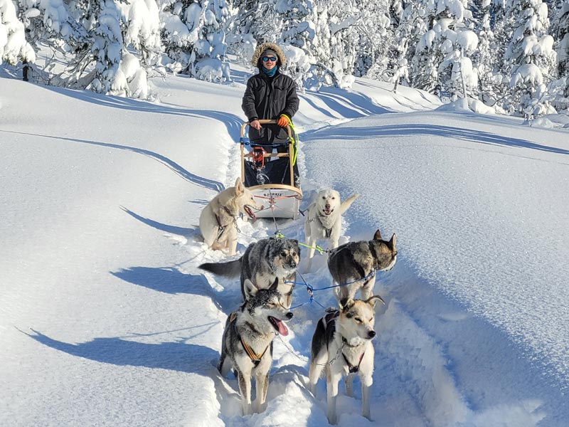 Driving your own dogsled