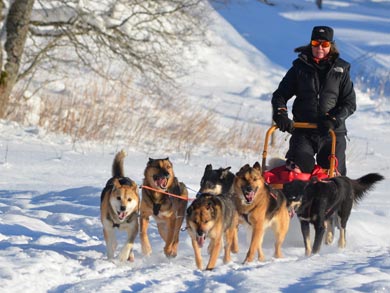 Go Dog Sledding in Trøndelag | Photo: NHA