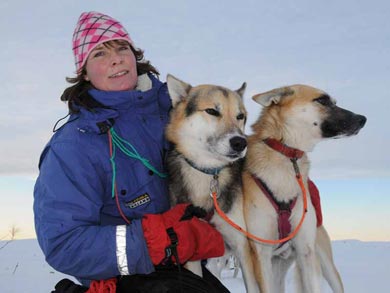 Go Dog Sledding in Trøndelag | Photo: NHA