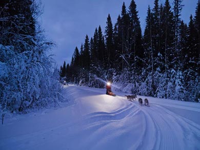 Discover Dog Sledding in Jämtland | Photo: NHF