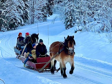 Horse and sleigh ride through the winter landscape | Photo: NOH