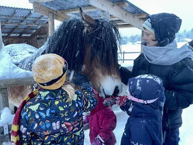Meeting the horses | Photo: NOH