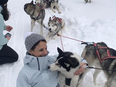 Harnessing the huskies | Photo: NOH