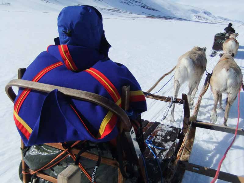 Reindeer Encounter and Sami Experience in Lapland
