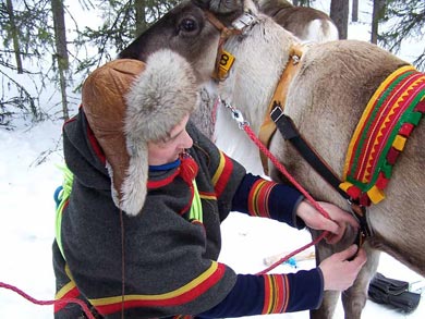 Reindeer Encounter and Sámi Experience in Lapland | Photo: Nature Travels