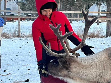 Reindeer Encounter and Sámi Experience in Lapland | Photo: Sarah Shamel