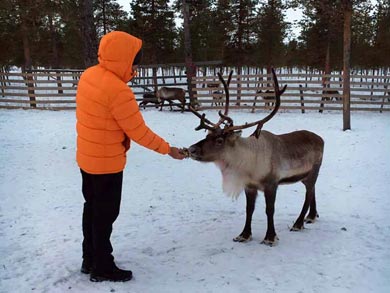 Reindeer Encounter and Sámi Experience in Lapland | Photo: Catherine Emmerson