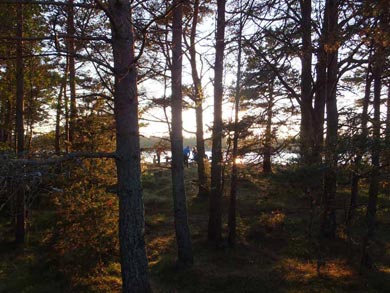 Island Hopping and Hiking in the Stockholm Archipelago | Photo: Nature Travels