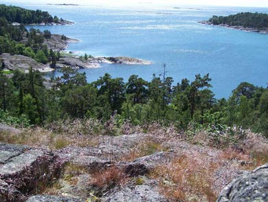 Island Hopping and Hiking in the Stockholm Archipelago | Photo: Nature Travels