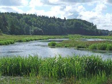 Island Hopping and Hiking in the Stockholm Archipelago | Photo: NT