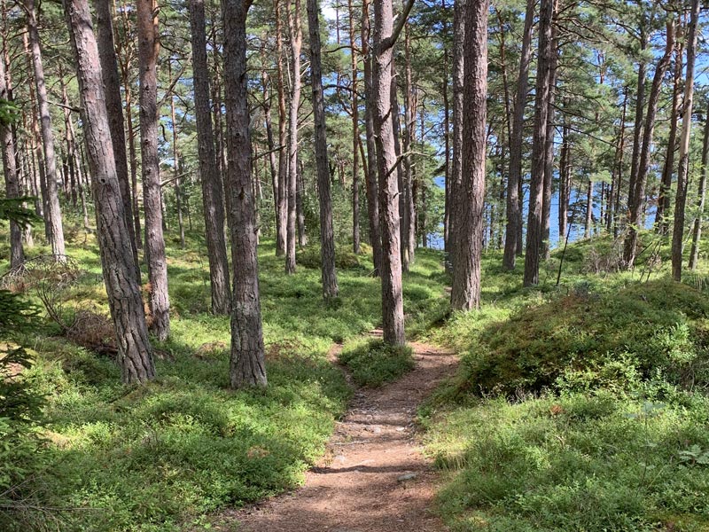 Hiking paths in the Stockholm Archipelago